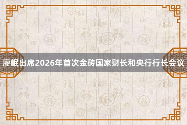 廖岷出席2026年首次金砖国家财长和央行行长会议