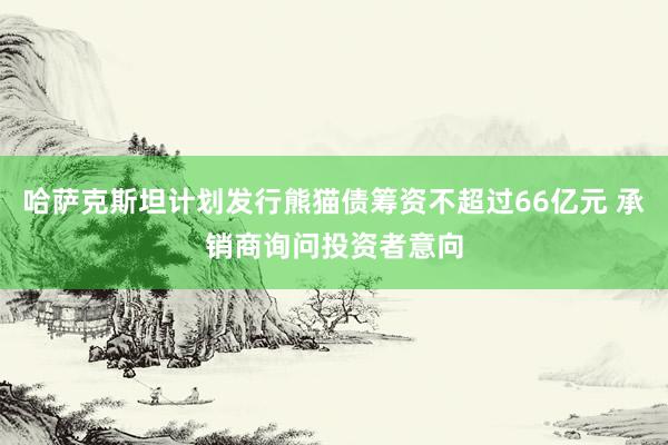 哈萨克斯坦计划发行熊猫债筹资不超过66亿元 承销商询问投资者意向