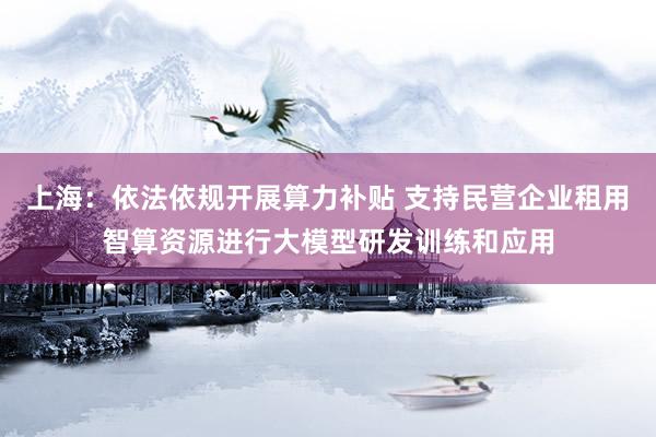 上海：依法依规开展算力补贴 支持民营企业租用智算资源进行大模型研发训练和应用