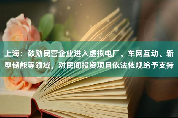 上海：鼓励民营企业进入虚拟电厂、车网互动、新型储能等领域，对民间投资项目依法依规给予支持