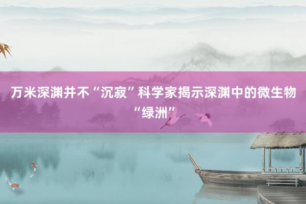 万米深渊并不“沉寂”科学家揭示深渊中的微生物“绿洲”