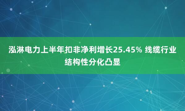 泓淋电力上半年扣非净利增长25.45% 线缆行业结构性分化凸显