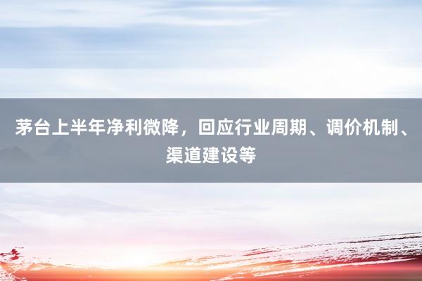 茅台上半年净利微降，回应行业周期、调价机制、渠道建设等