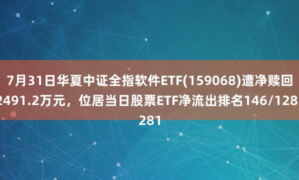 7月31日华夏中证全指软件ETF(159068)遭净赎回2491.2万元，位居当日股票ETF净流出排名146/1281