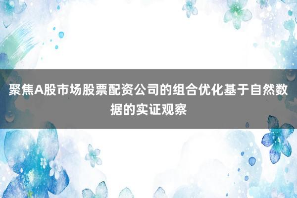 聚焦A股市场股票配资公司的组合优化基于自然数据的实证观察
