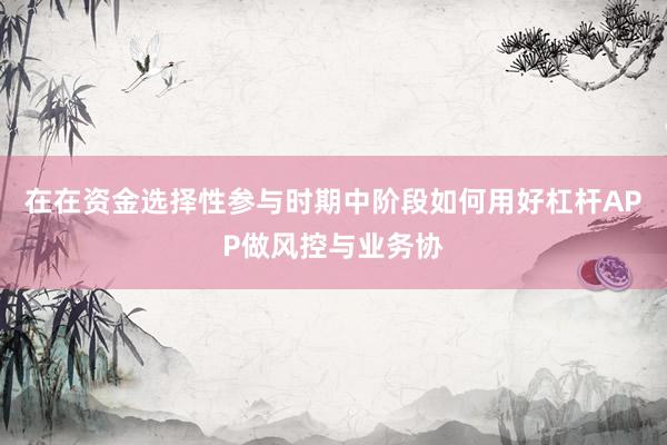在在资金选择性参与时期中阶段如何用好杠杆APP做风控与业务协