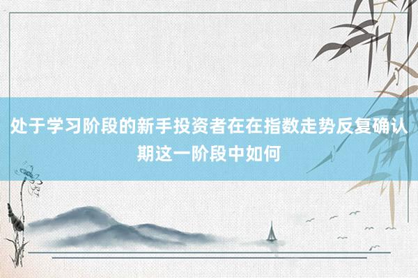 处于学习阶段的新手投资者在在指数走势反复确认期这一阶段中如何