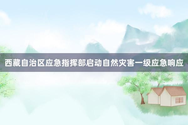 西藏自治区应急指挥部启动自然灾害一级应急响应