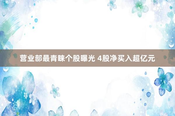 营业部最青睐个股曝光 4股净买入超亿元