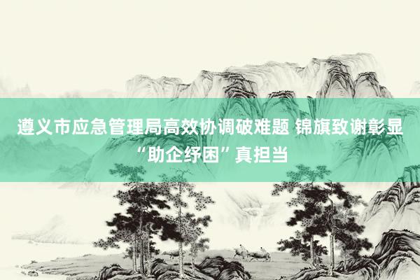 遵义市应急管理局高效协调破难题 锦旗致谢彰显“助企纾困”真担当