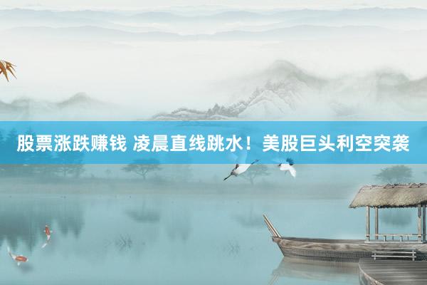 股票涨跌赚钱 凌晨直线跳水！美股巨头利空突袭
