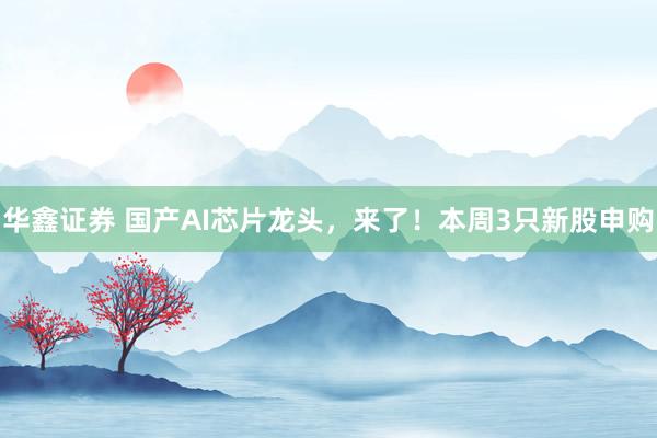 华鑫证券 国产AI芯片龙头，来了！本周3只新股申购