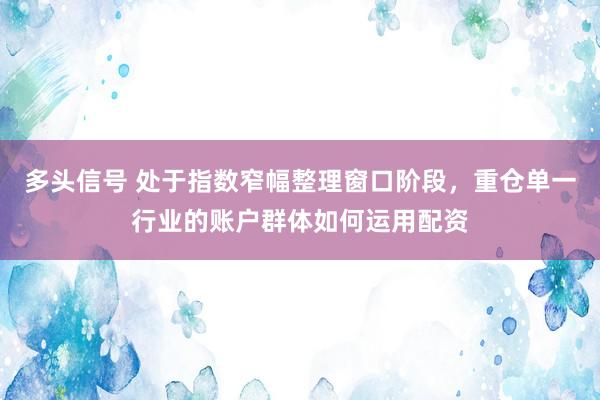 多头信号 处于指数窄幅整理窗口阶段，重仓单一行业的账户群体如何运用配资