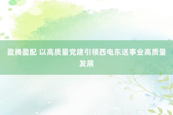 盈腾盈配 以高质量党建引领西电东送事业高质量发展