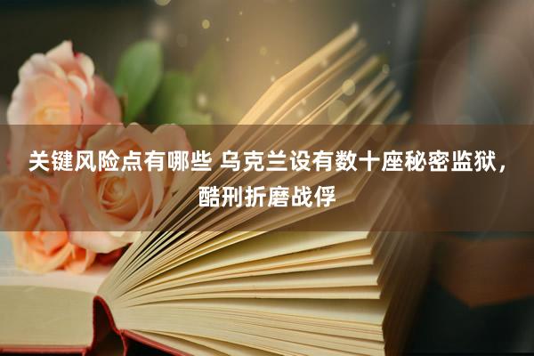 关键风险点有哪些 乌克兰设有数十座秘密监狱，酷刑折磨战俘