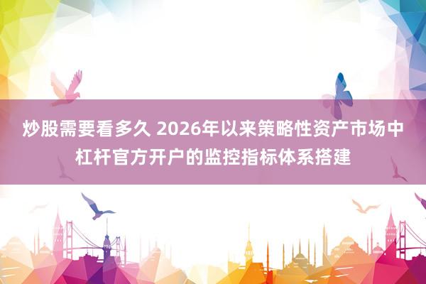 炒股需要看多久 2026年以来策略性资产市场中杠杆官方开户的监控指标体系搭建
