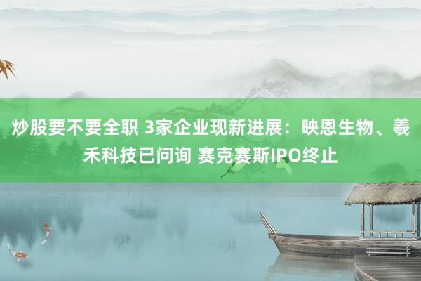 炒股要不要全职 3家企业现新进展：映恩生物、羲禾科技已问询 赛克赛斯IPO终止