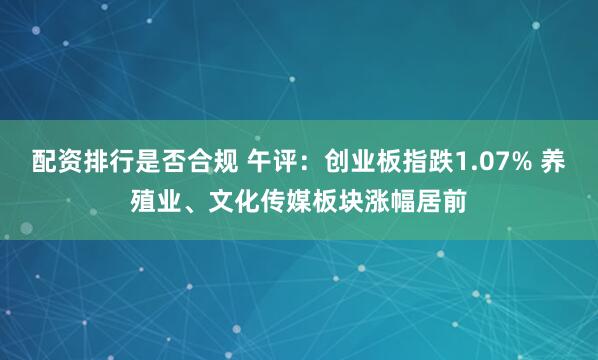 配资排行是否合规 午评：创业板指跌1.07% 养殖业、文化传媒板块涨幅居前