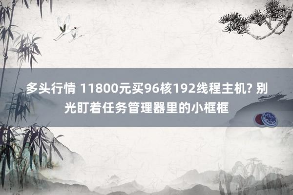 多头行情 11800元买96核192线程主机? 别光盯着任务管理器里的小框框