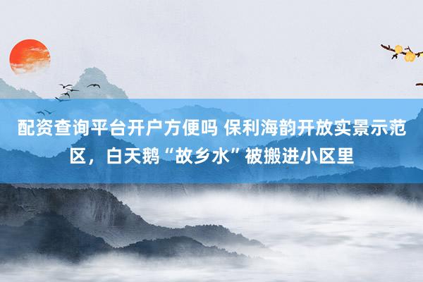 配资查询平台开户方便吗 保利海韵开放实景示范区，白天鹅“故乡水”被搬进小区里